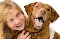 Hund